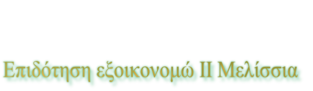 Επιδότηση εξοικονομώ ΙΙ Μελίσσια
