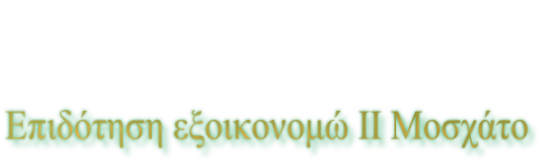 Επιδότηση εξοικονομώ ΙΙ Μοσχάτο